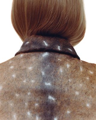 Fawn Minimal Leather Jacket