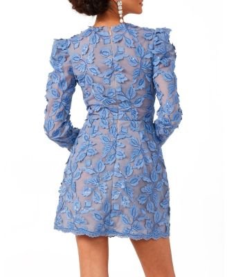 Christy Embroidered Long Sleeve Mini Dress