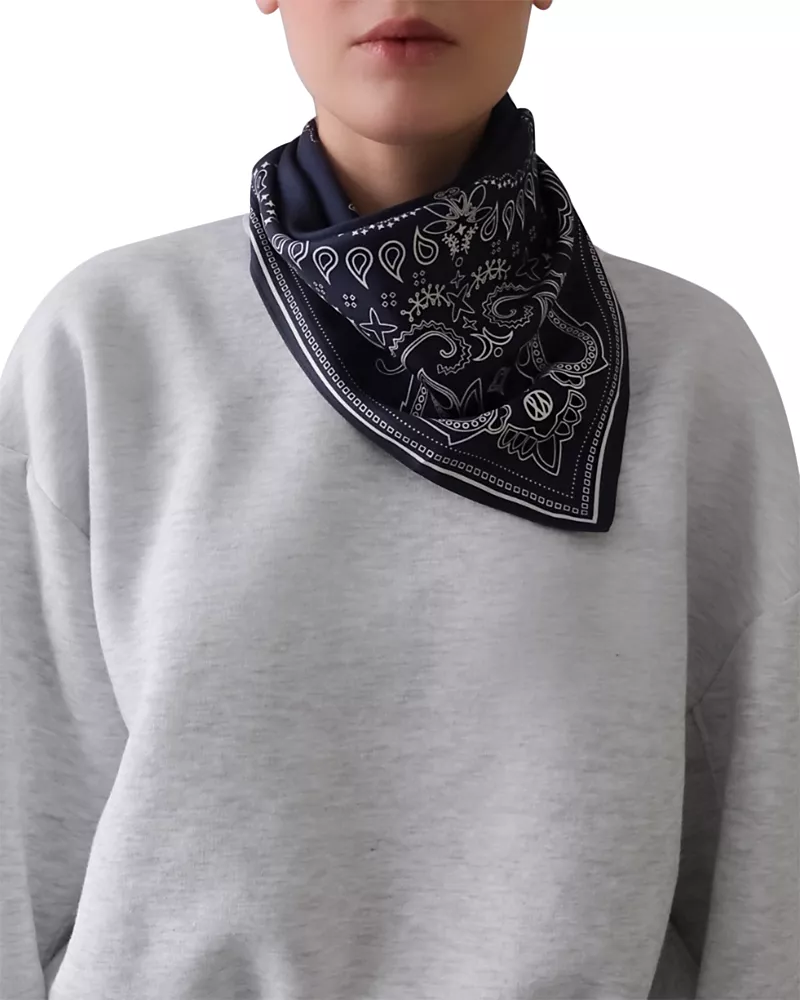 lescarf Blue Paisley Silk Scarf