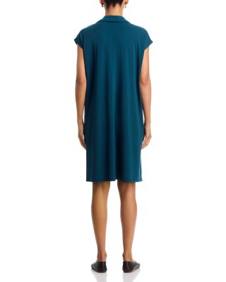 Classic Collar Dress