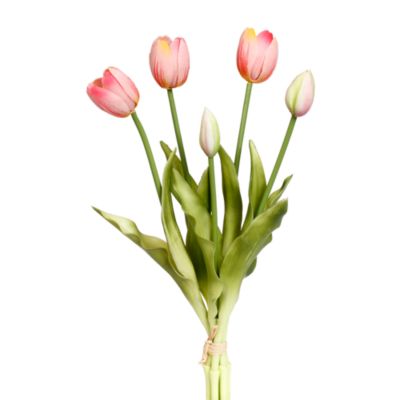 Blooming Tulip Bunch, 6 Bunches