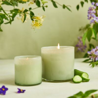 Wild Honeysuckle Classic Candle, 6.5 oz.