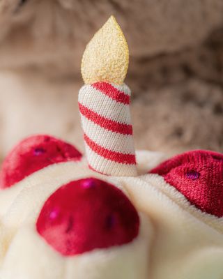 Bashful Bunny Birthday Plush - Ages 0+