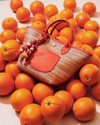 Le Pliage Panier Rainbow Extra Small Basket Bag