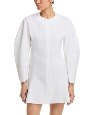 Balloon Sleeve Dress