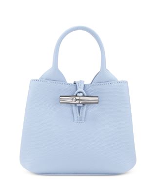Le Roseau XS Handbag in Smooth Leather