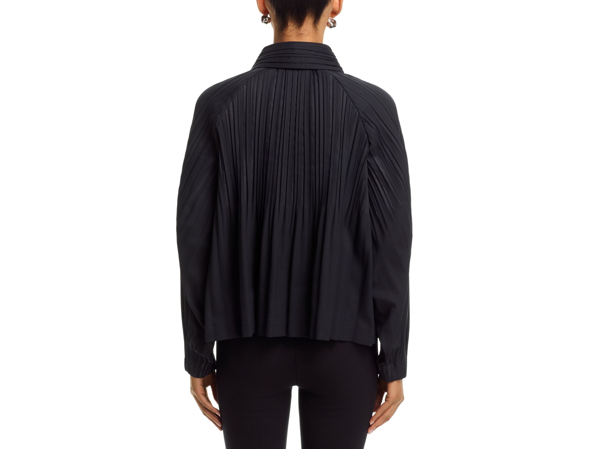 Smooth Coat — Image 3