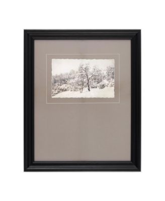 Coconino Framed Art