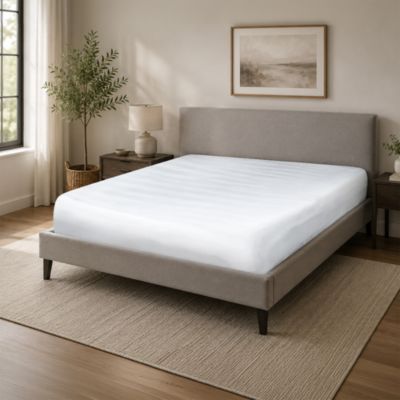 My Allergy Pro Mattress Protector – Exclusive