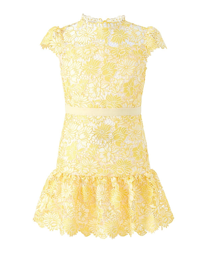 Marlo Kids Girls' Cassandra Embroidered Mini Dress - Little Kid, Big Kid
