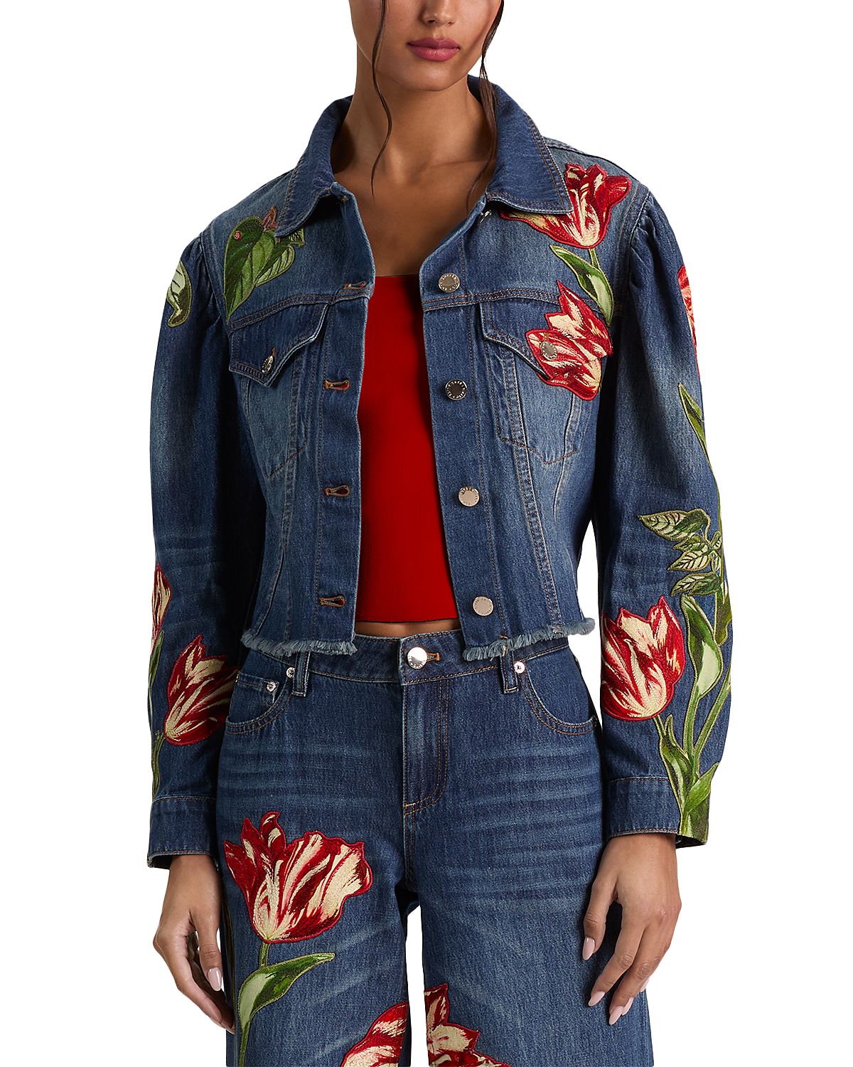 Alice and Olivia Elijah Embroidered Applique Jacket