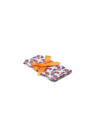 Large Napkins, Set of 2, 18" x 18"