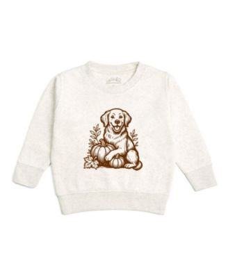 Boys' Golden Retriever Harvest Sweatshirt - Baby, Little Kid