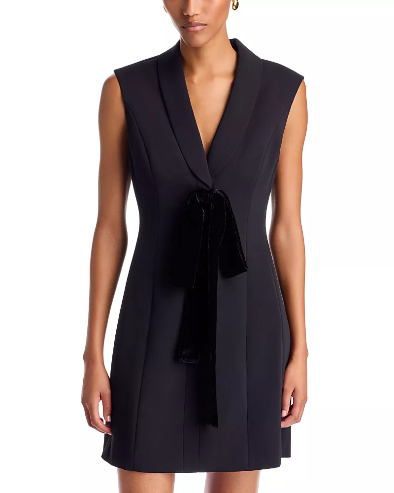 Milly Dove Velvet Bow Mini Dress