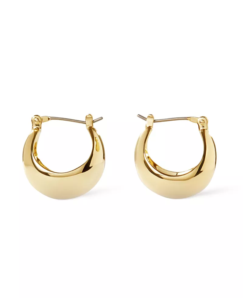 Ana Luisa Abby Hoop Earrings