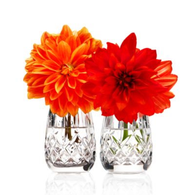 Lismore Salt & Pepper Shaker Set