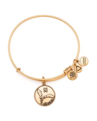 alex and ani pisces necklace