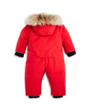 canada goose baby canada goose baby