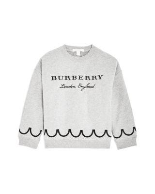 burberry big logo sweatshirt