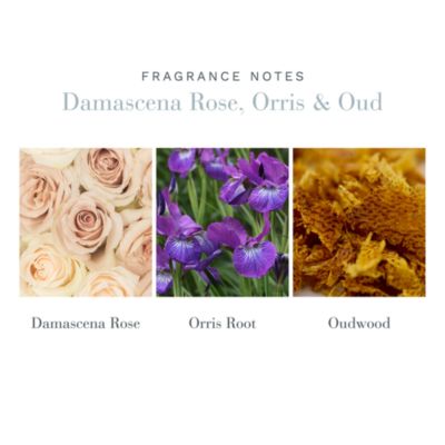 Damascena Rose, Orris & Oud 8.5 oz. Diffuser