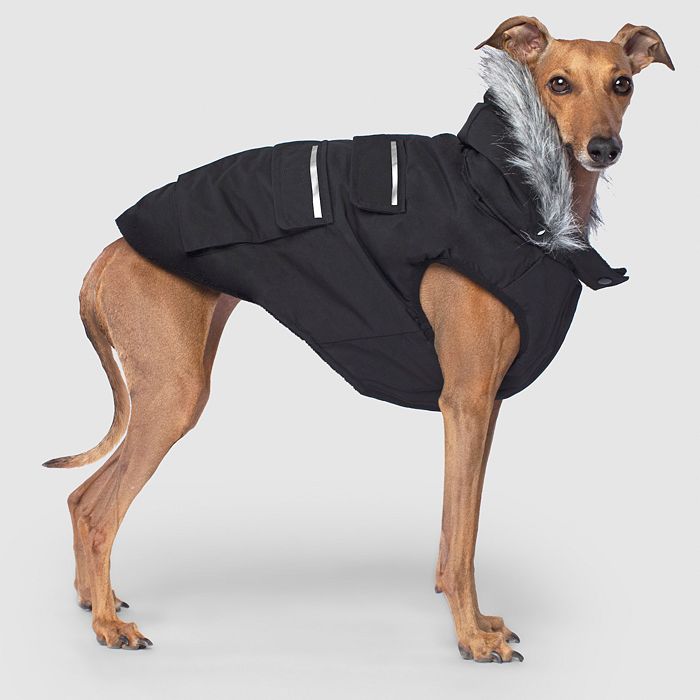 Canada Pooch Everest Explorer Jacket Size 18 Bloomingdale s