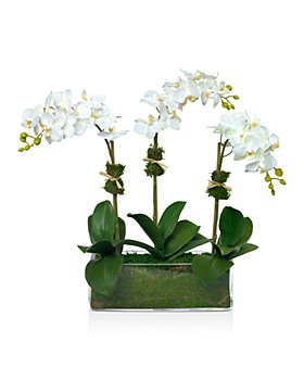 Diane James Home - Phalaenopsis Faux Floral Orchids