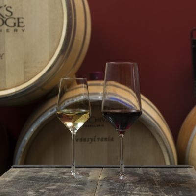 Tritan Pure Sauvignon Blanc Glass, Set of 2