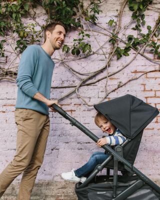 Cruz V2 Stroller