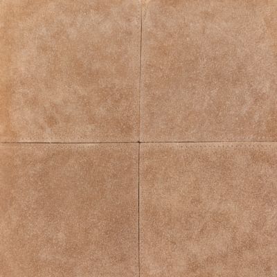 Manitou Decorative Pillow