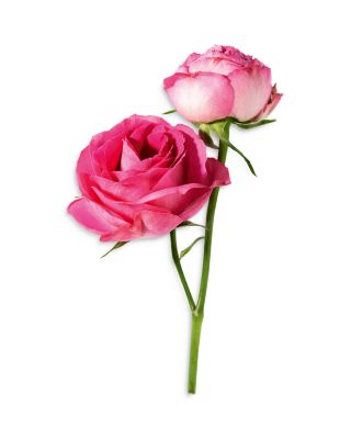 Tr&eacute;sor Eau de Parfum Spray 3.4 oz.