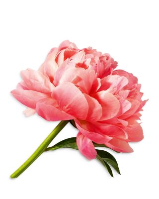 Miracle Eau de Parfum 3.4 oz.