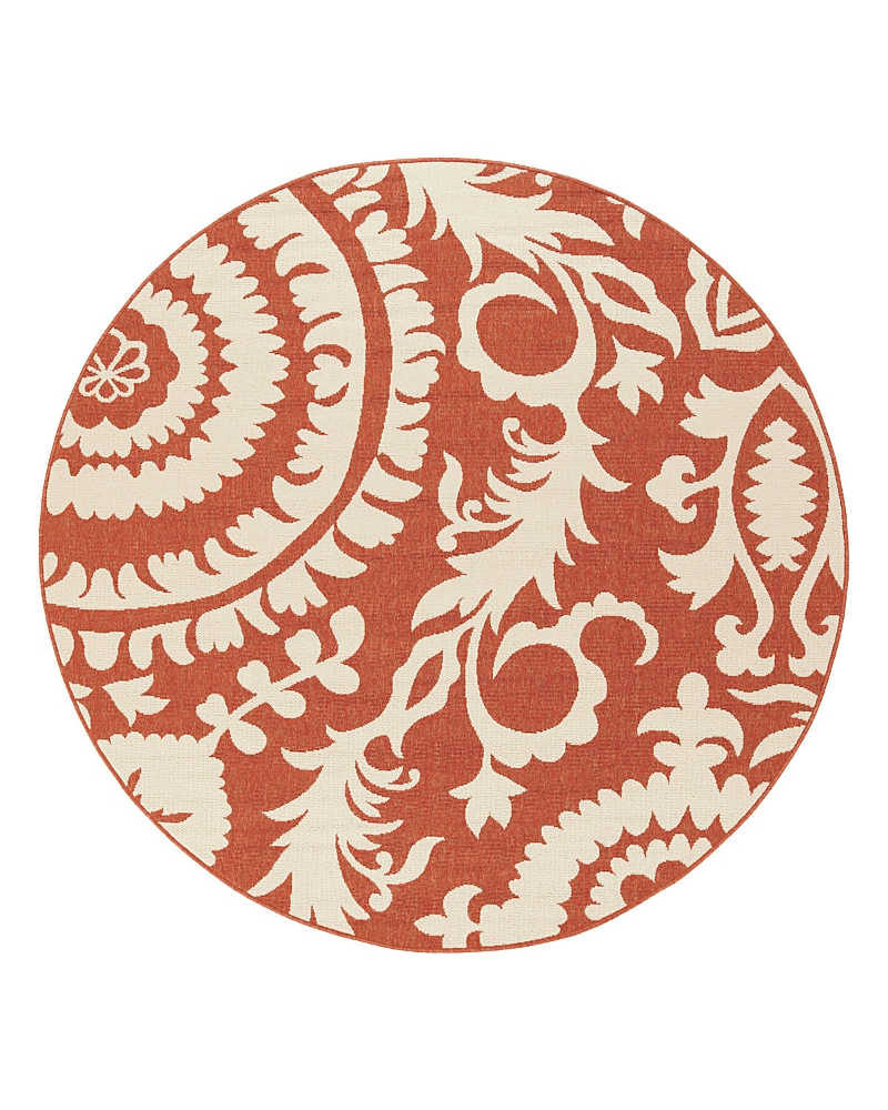 Surya Alfresco Alf D Round Area Rug, 5'3 X 5'3 In Rust