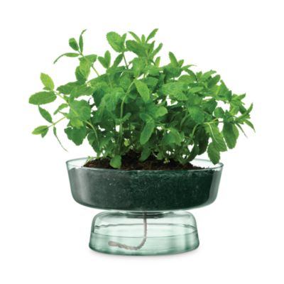 Canopy Self Watering Planter