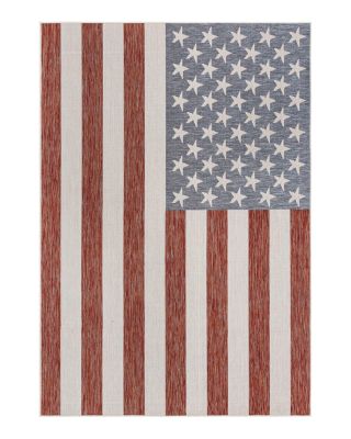 Jill Zarin Jill Zarin Outdoor Old Glory Area Rug, 6' x 9'