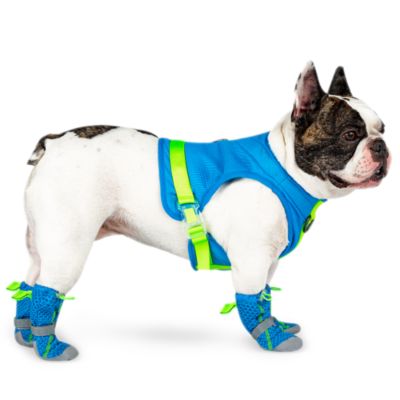 Canada Pooch Set of Hot Pavement Dog Boots, Size Bloomingdale's