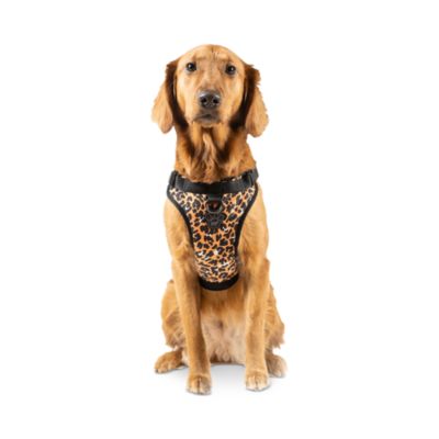 canada pooch no pull harness