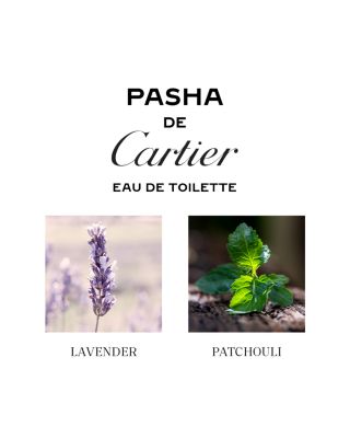 Pasha Eau de Toilette 3.3 oz.