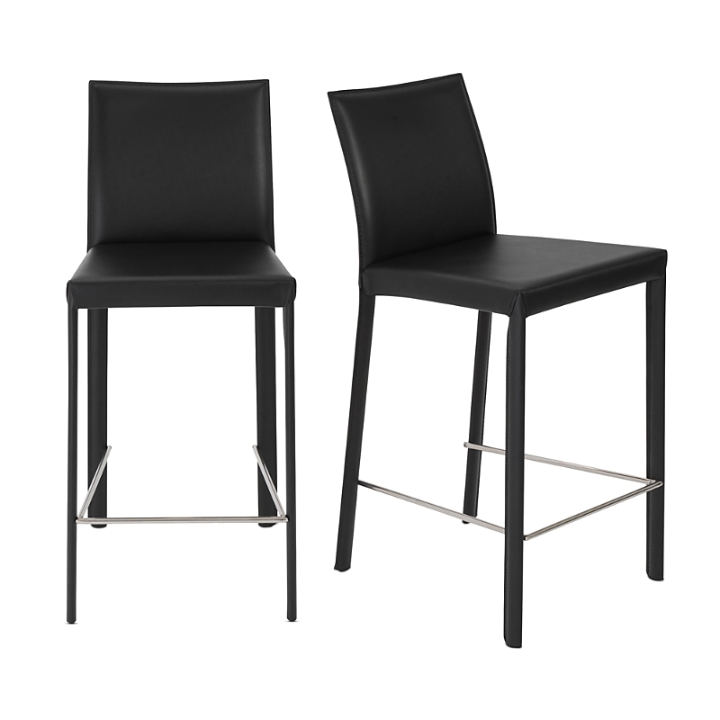 Euro Style Hasina Counter Stool, Set of 2