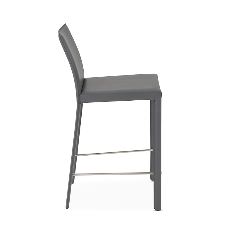 Euro Style Hasina Counter Stool, Set of 2