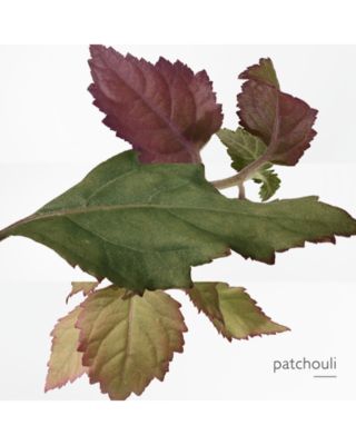 Elixir des Merveilles Eau de Parfum Natural Spray, 1.6 oz.