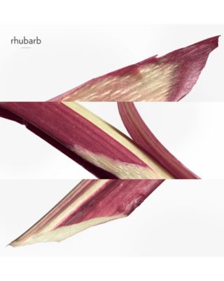 Eau de rhubarbe &eacute;carlate Eau de Cologne Spray 3.3 oz.