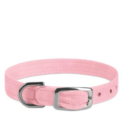 Crystal Paws Collar