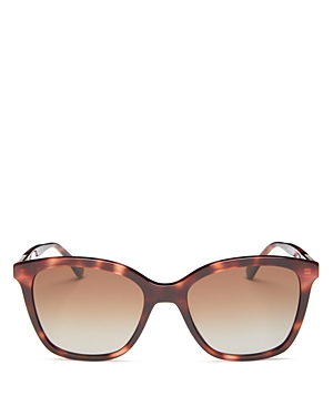 Kate Spade Reenas 53mm Gradient Polarized Cat Eye Sunglasses In Havana/brown