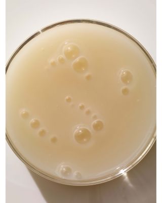 The Rootine Scalp Serum 1.7 oz.