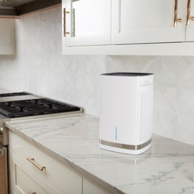 CAP-500 PuRXium Countertop Air Purifier 