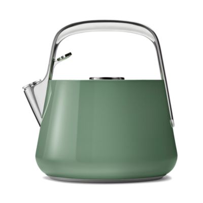 Stainless Steel Tea Kettle
