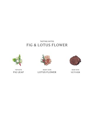 Fig &amp; Lotus Flower Cologne 1 oz.