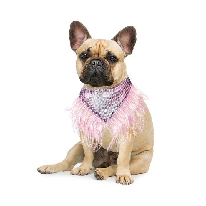 Bloomingdales dog accessories online