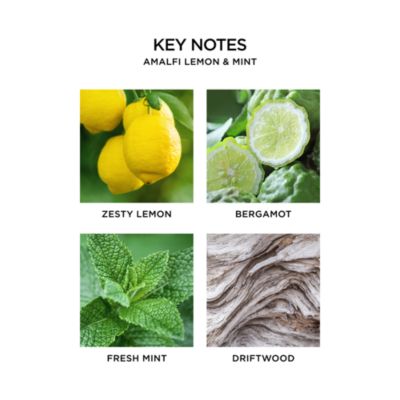 Wall Diffuser Refill, Amalfi Lemon & Mint 