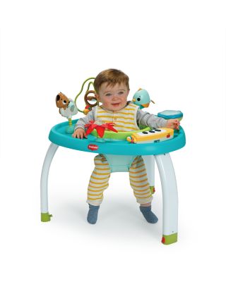 Meadow Days Stationary Activity Center - Ages 6 months+